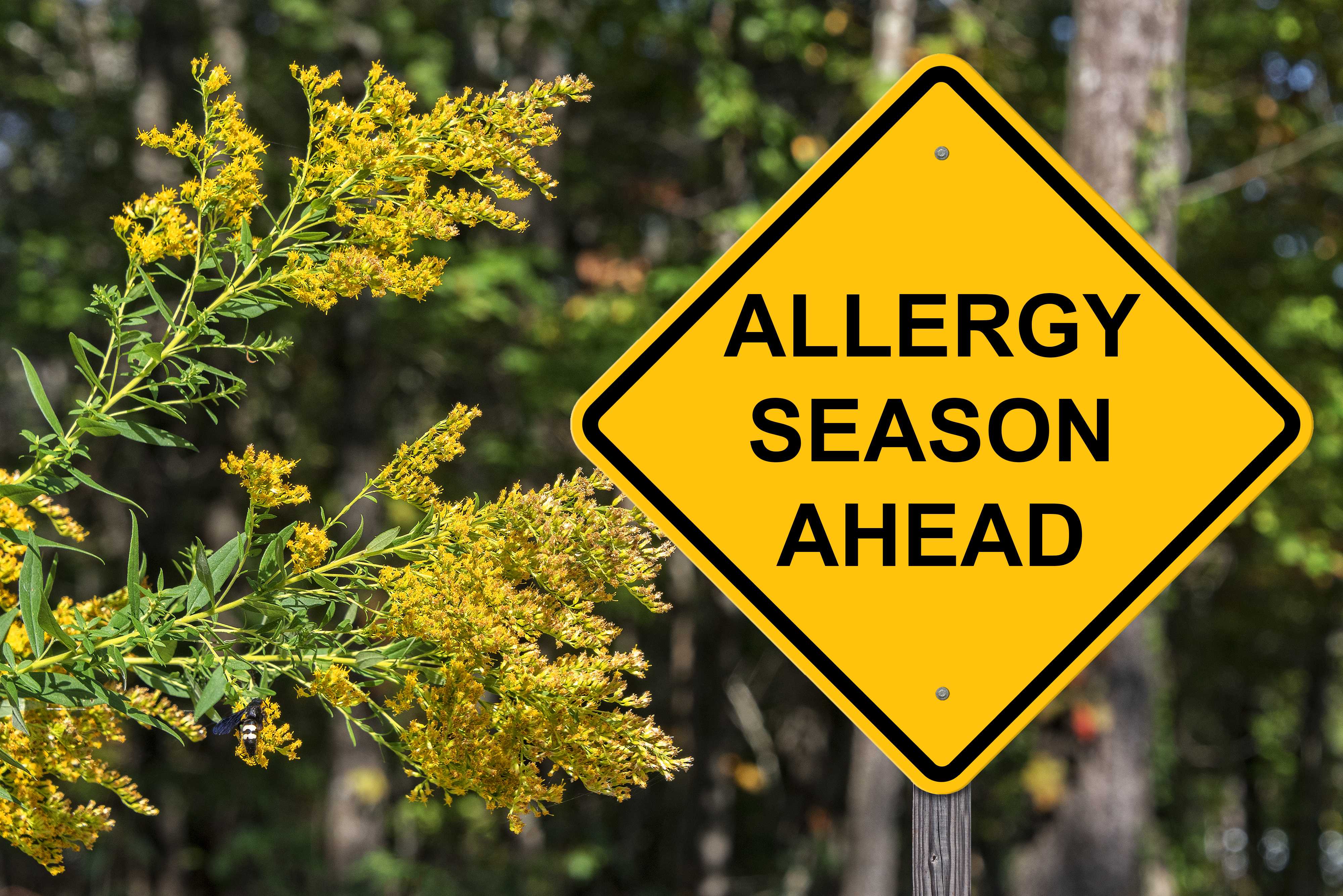 Beat Seasonal Allergies with Ayurveda Potion