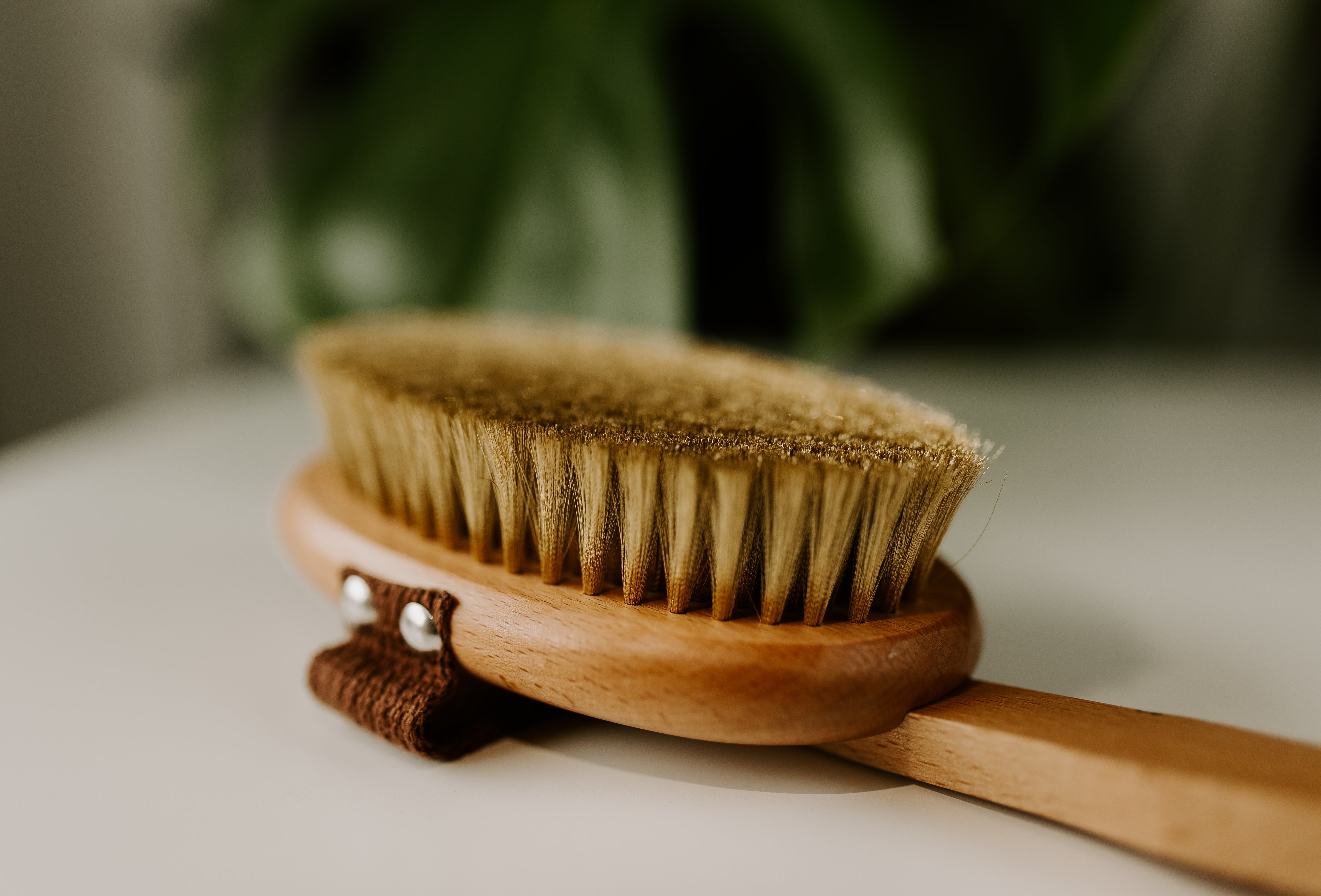 Your Guide to Ayurvedic Dry Brushing Potion