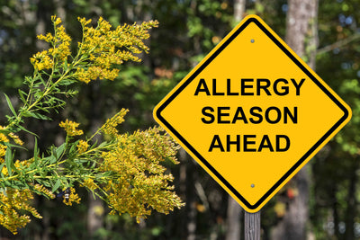 Beat Seasonal Allergies with Ayurveda