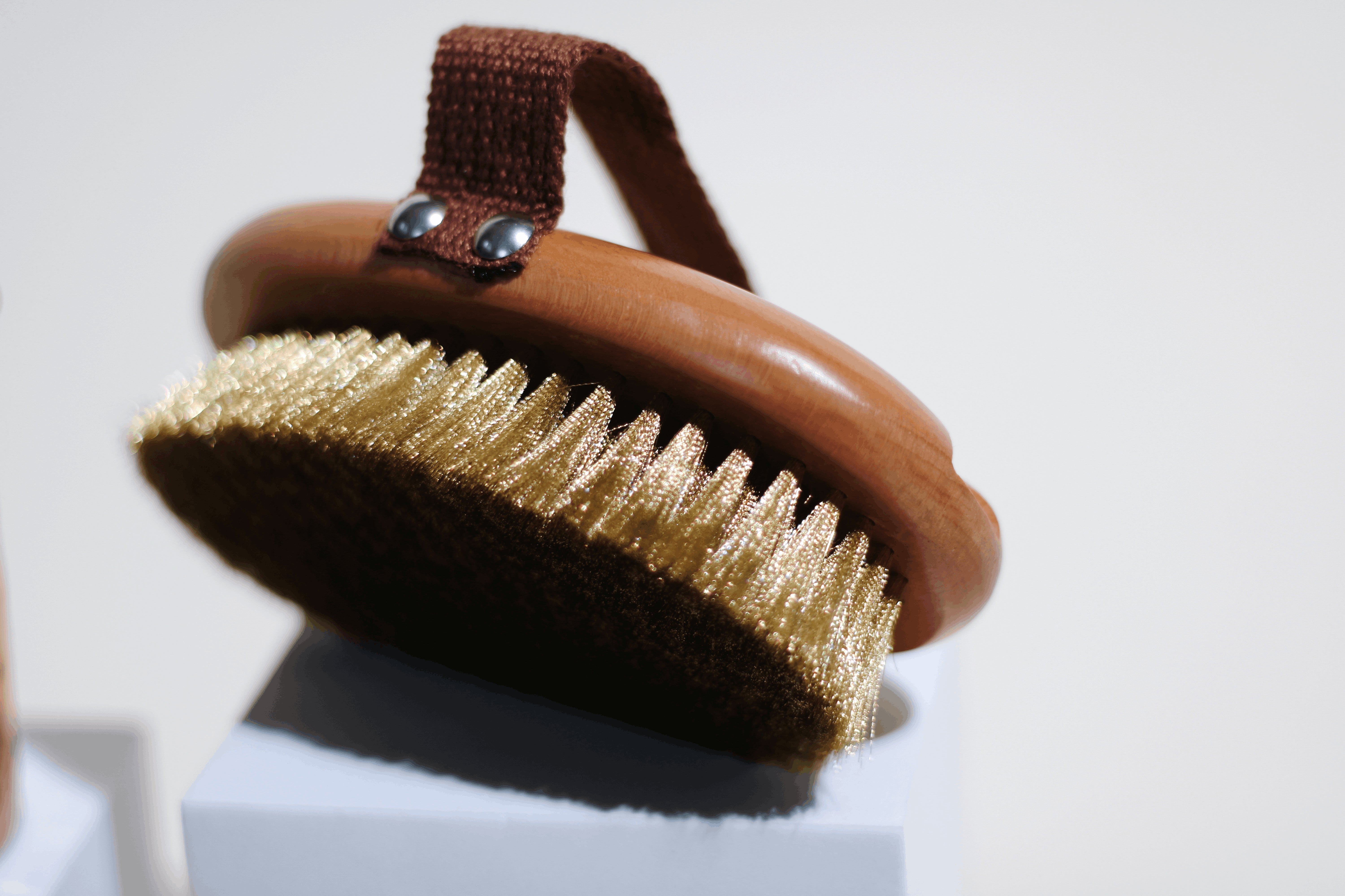 Dry Body Brush